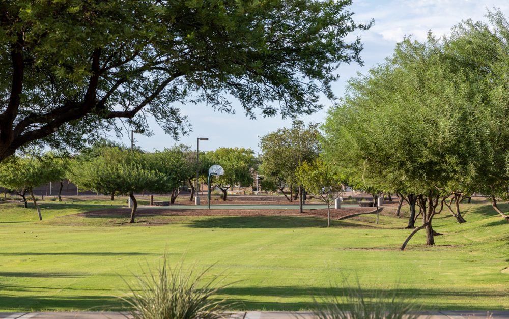Park and sport court in The Meadows