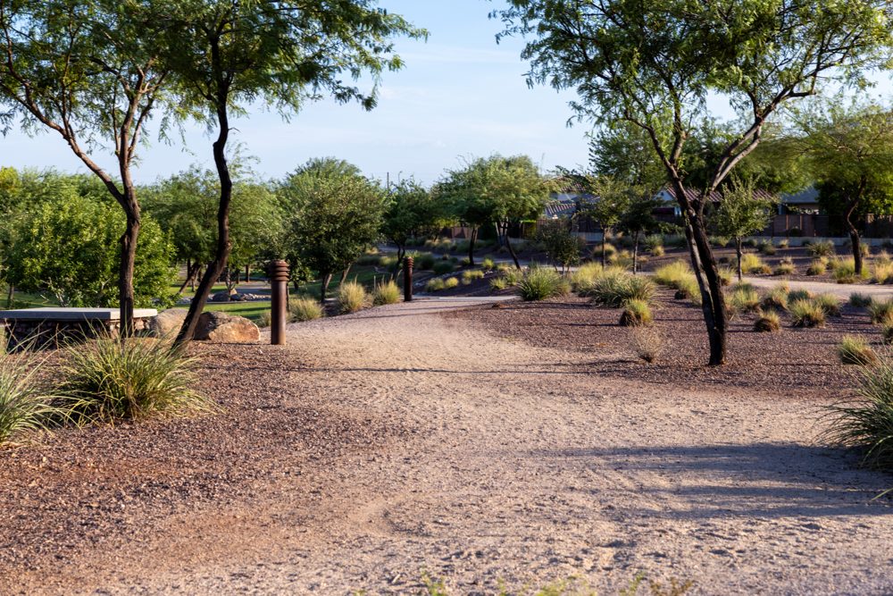 Walking path through The Meadows community