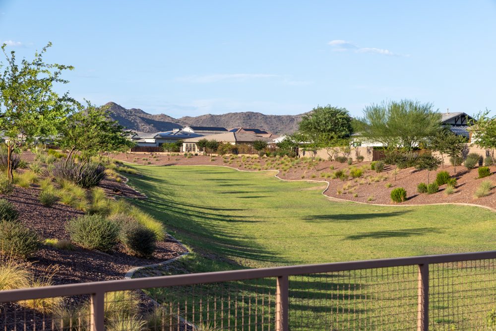 Green space with mountain views in The Meadows